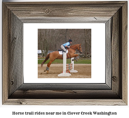 horse trail rides near me in Clover Creek, Washington